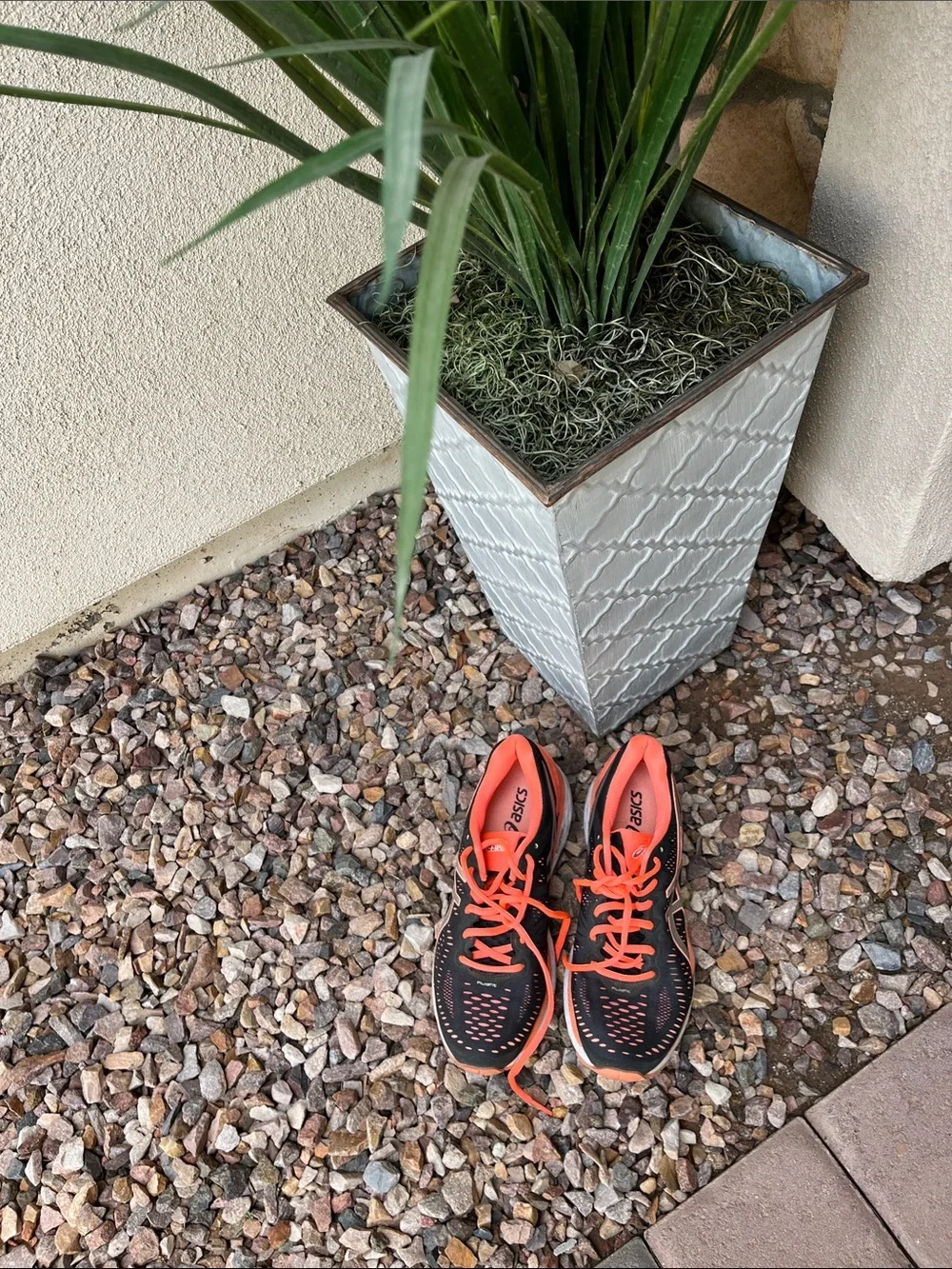 Asics Running shoes women’s 8 1/2 fit me perfectly I wear 7 1/2 regular shoes.